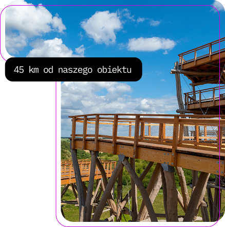 Group 37